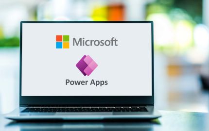 microsoft power apps consulting